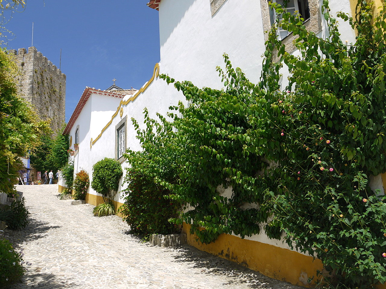views of The Obidos town